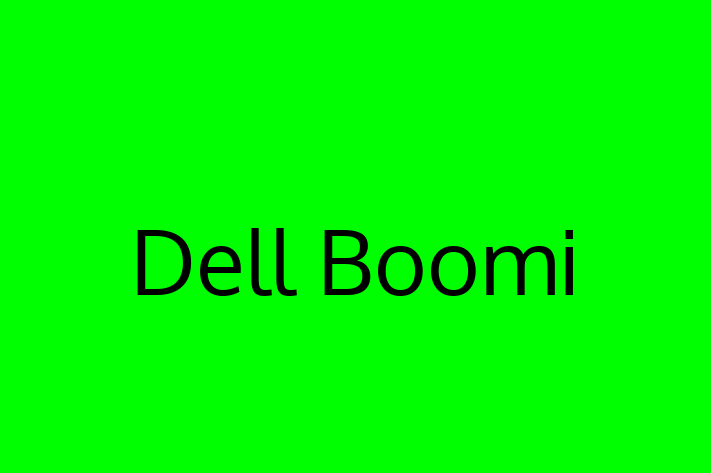 Technology Company Dell Boomi