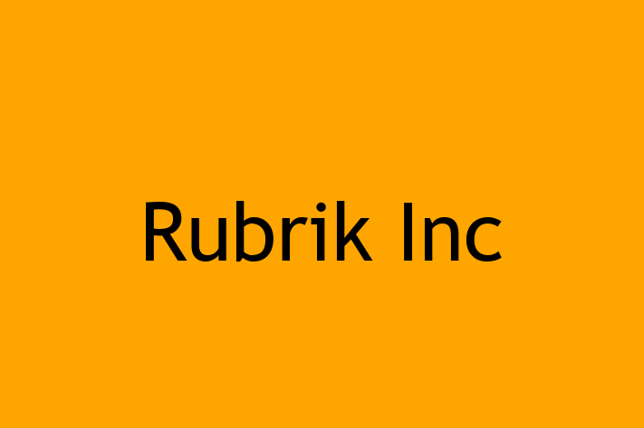 Software Consultancy Rubrik Inc