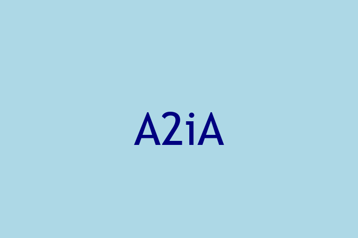 IT Company A2iA