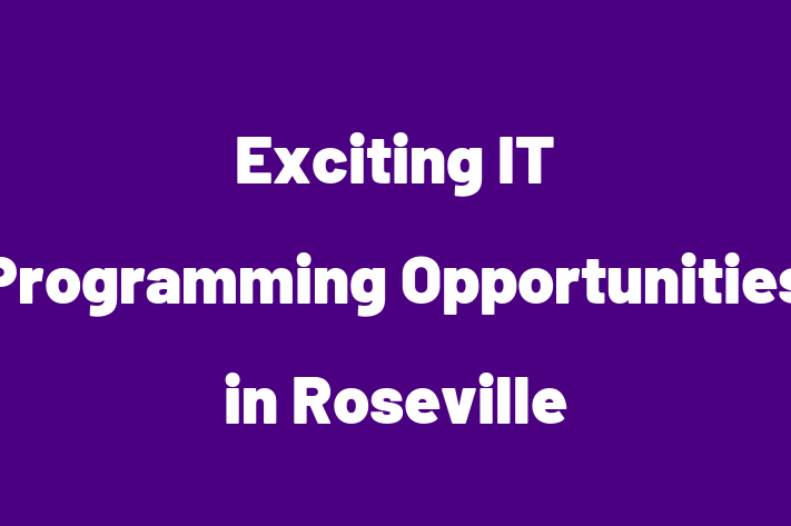 Exciting IT Programming Opportunities in Roseville