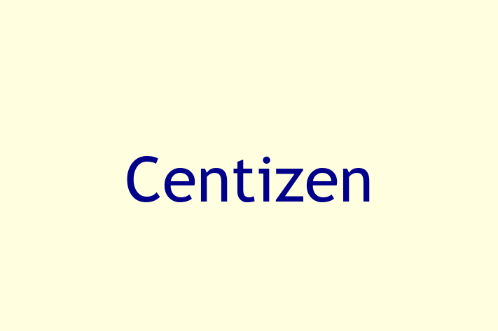 Application Development Company Centizen