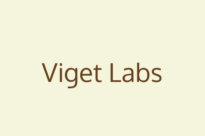 Software Engineering Company Viget Labs