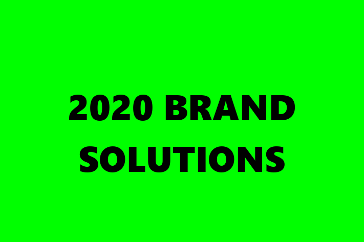 Software Consultancy 2020 BRAND SOLUTIONS