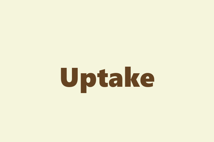 Software Development Company Uptake