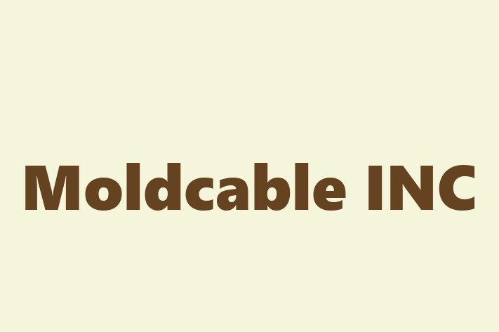 Workforce Management Moldcable INC