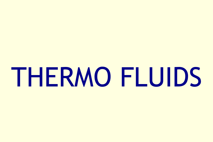 Digital Solutions Provider THERMO FLUIDS