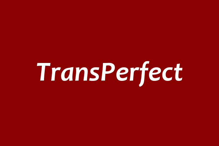 IT Company TransPerfect