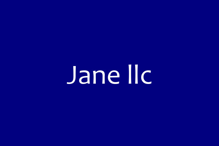 Tech Firm Jane llc