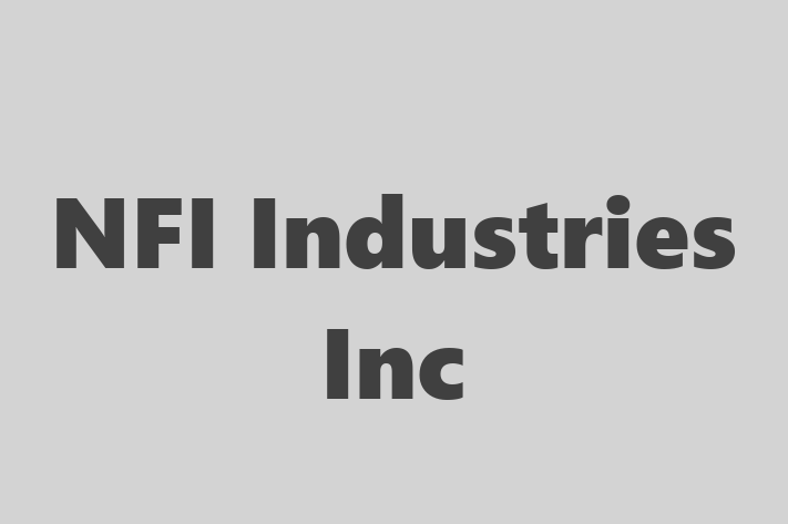 IT Company NFI Industries Inc