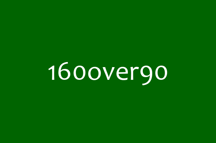 Digital Solutions Provider 160over90