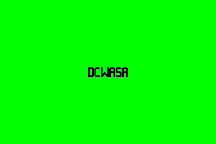 Technology Solutions Firm DCWASA