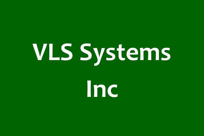 Software Engineering Company VLS Systems Inc