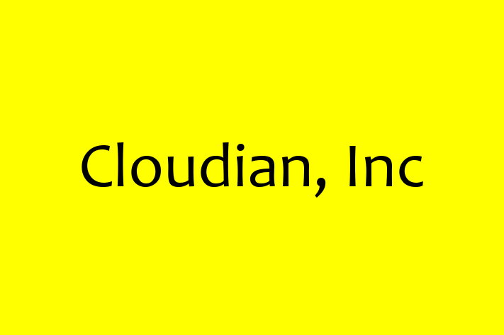 Software Engineering Company Cloudian Inc