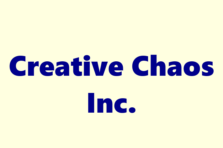 Software Consultancy Creative Chaos Inc.