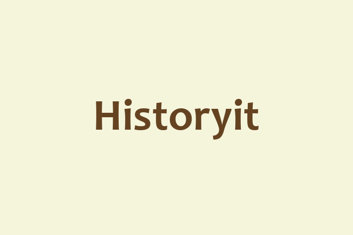 Digital Solutions Provider Historyit