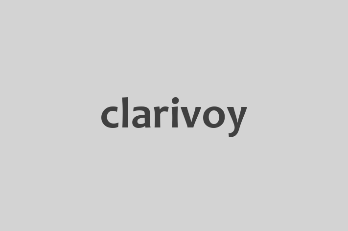 Software Solutions Provider clarivoy