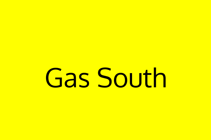 Software Services Company Gas South