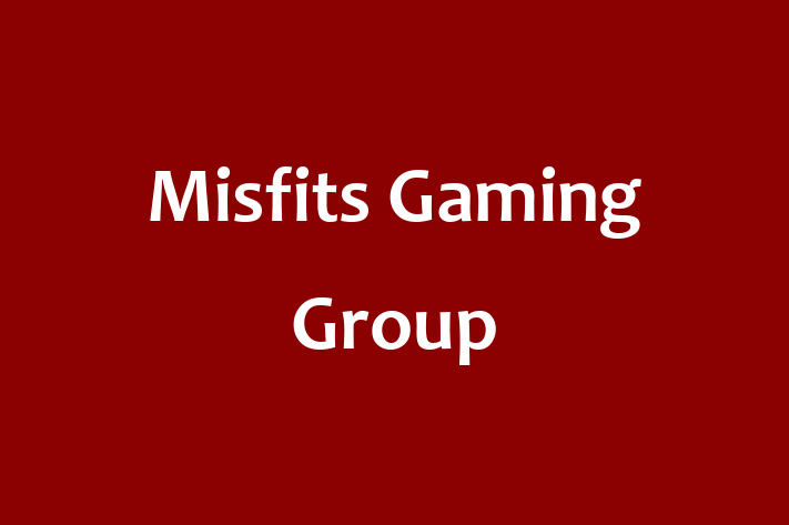 Personnel Management Misfits Gaming Group