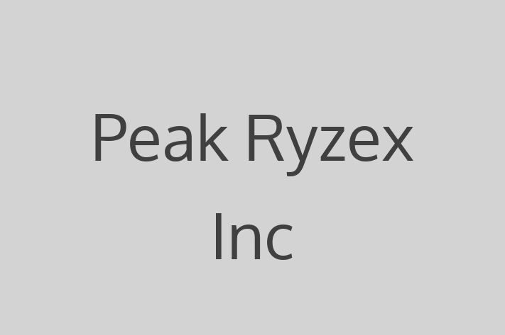 Software Development Firm Peak Ryzex Inc