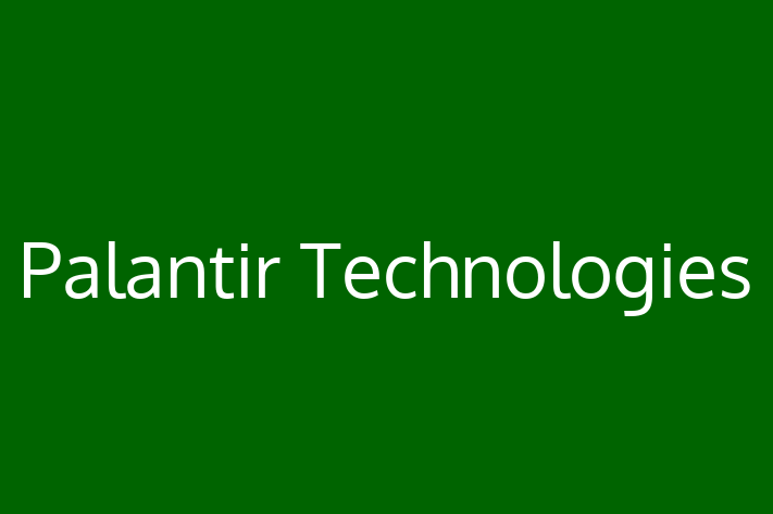 IT Company Palantir Technologies