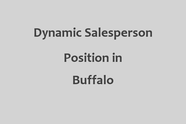 Dynamic Salesperson Position in Buffalo