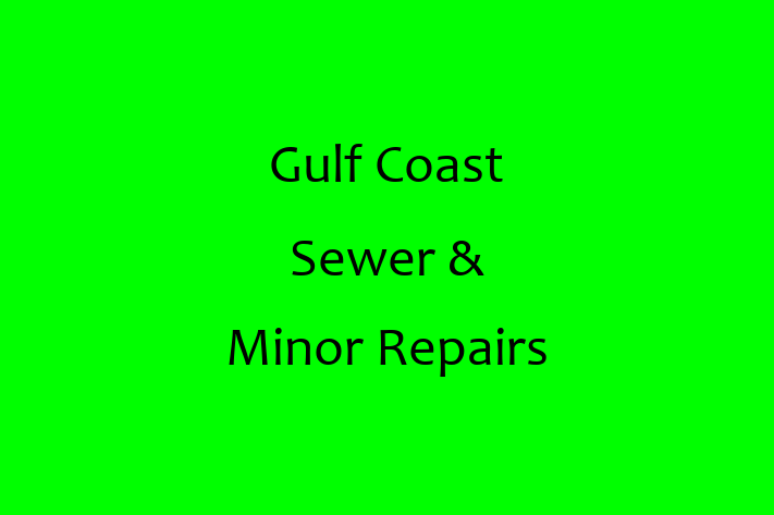 Contractor Gulf Coast Sewer Minor Repairs