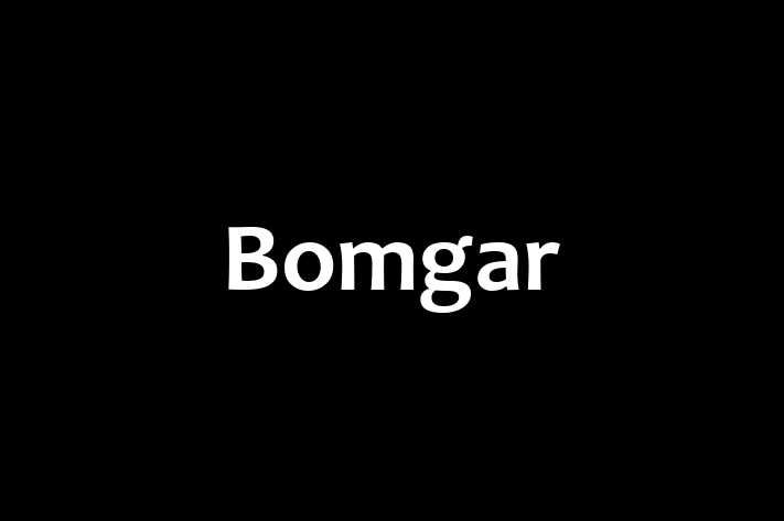 Digital Solutions Provider Bomgar