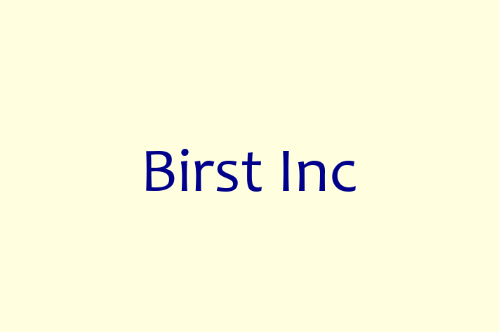 Software Services Company Birst Inc