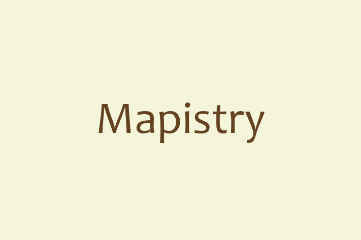 Software Firm Mapistry