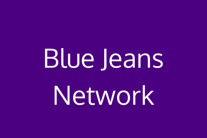 Software Development Company Blue Jeans Network