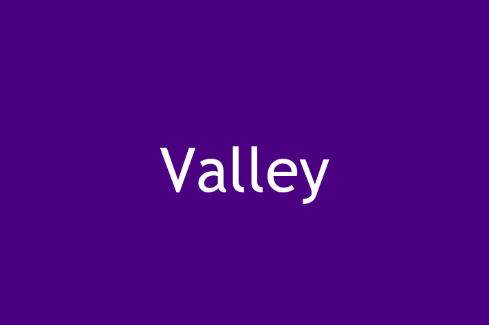 Software Solutions Provider Valley