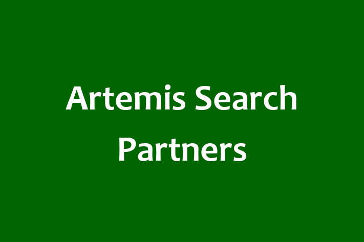 Talent Management Artemis Search Partners