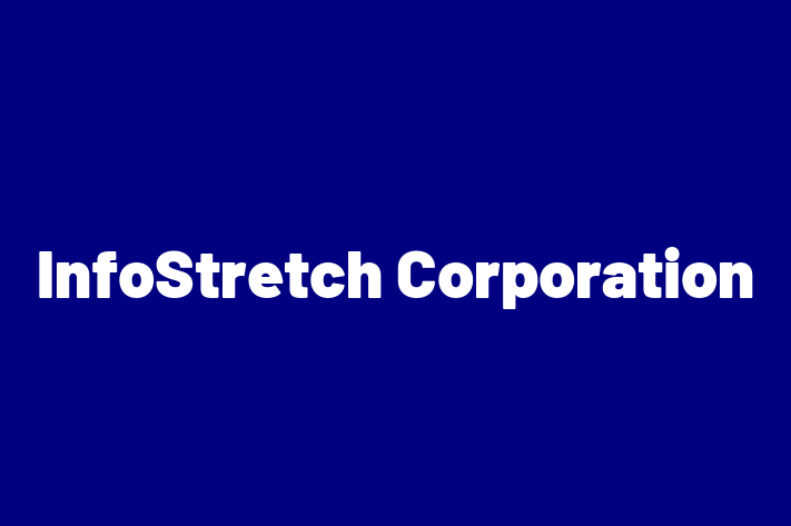 IT Company InfoStretch Corporation