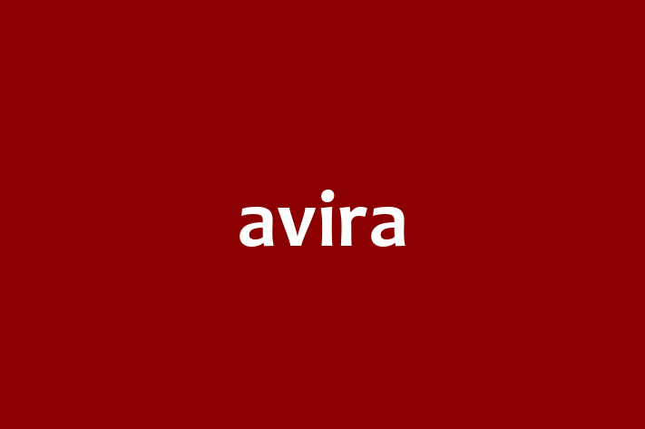 Tech Solutions Company avira