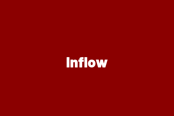 Software Development Company Inflow