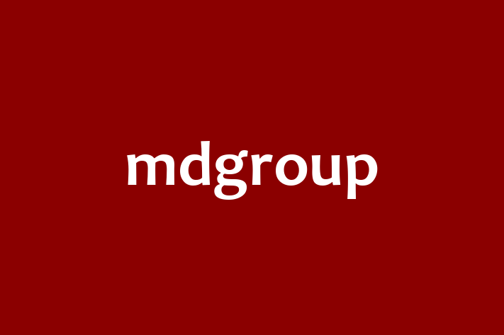 Human Capital Management mdgroup