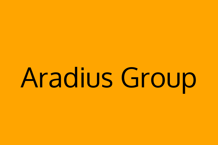 Software Development Company Aradius Group