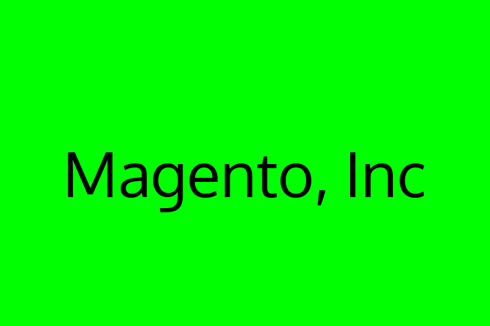 Software Firm Magento Inc