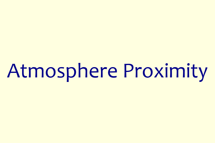 IT Company Atmosphere Proximity