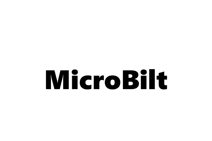 IT Company MicroBilt