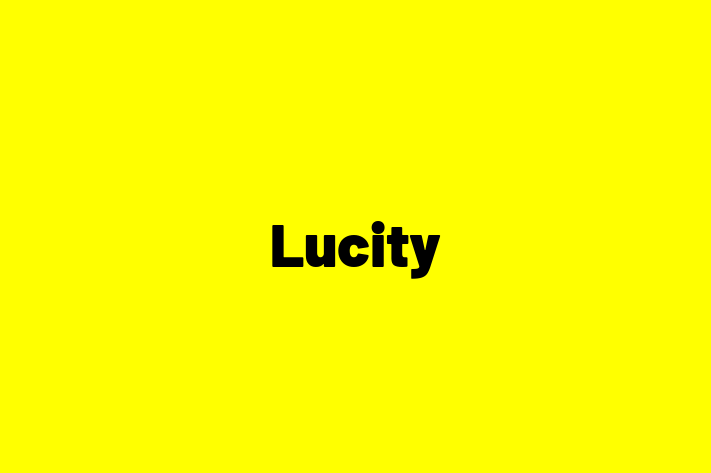 Application Development Company Lucity