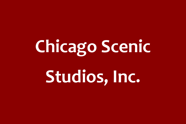 Tech Solutions Company Chicago Scenic Studios Inc.