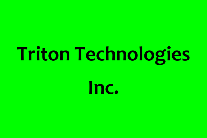 Software Services Company Triton Technologies Inc.