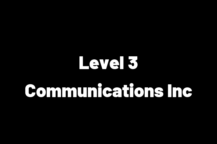 Software Services Company Level 3 Communications Inc