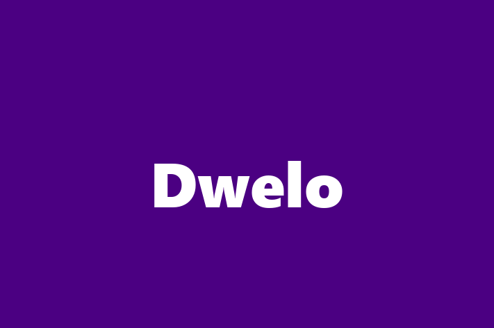 IT Company Dwelo