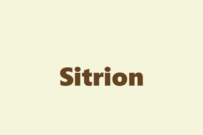 Software House Sitrion