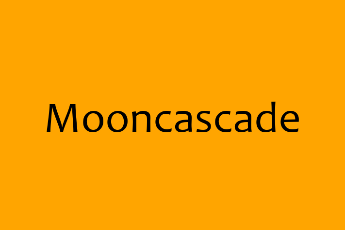 Software Solutions Provider Mooncascade