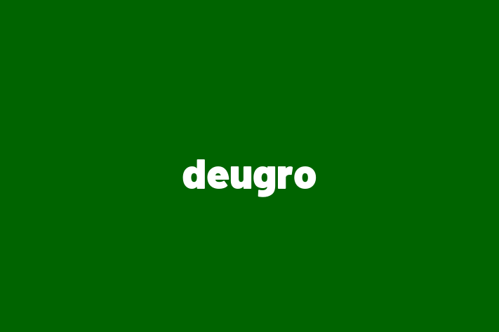 IT Company deugro