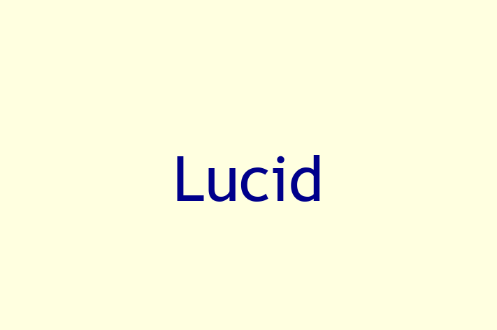 Software Services Company Lucid