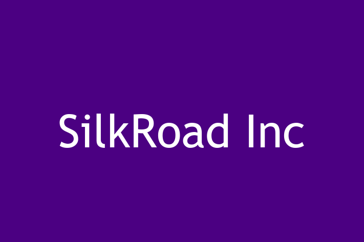 Tech Solutions Company SilkRoad Inc